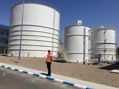 11698655_980560392005951_1273409647591055078_n